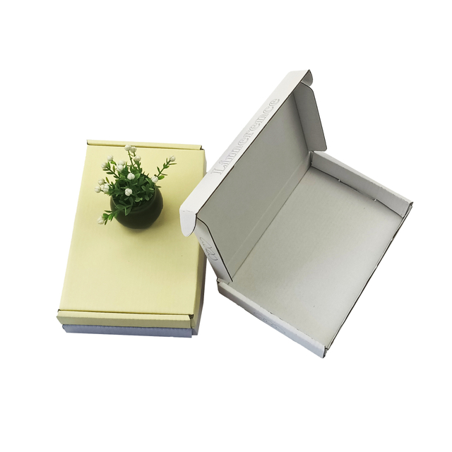 Caja de papel de paquete único personalizado Fabricante
